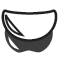 dropdown sun visor